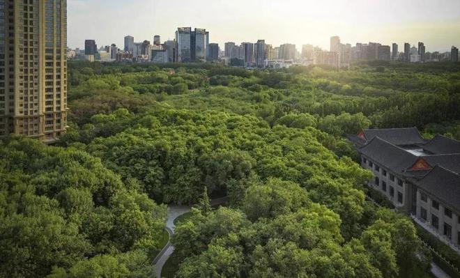 【2024网页】天河缦云广州售楼处电话-天河缦云广州营销中心(图2)