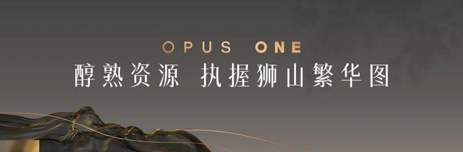 上华璟庭售楼处电线)网页-户型价格(图11)