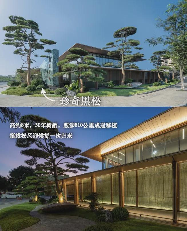 湖颂丹青府售楼处电线)网页-户型价格(图10)