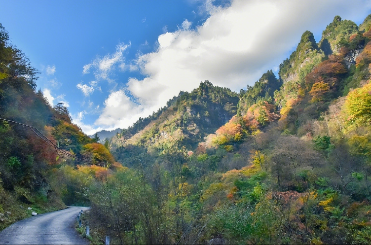 绵阳平武福寿自然保护小区入选中国潜力OECMs案例(图1)