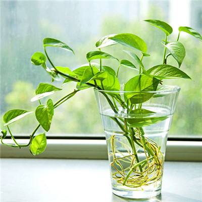 星空体育网址：2023澳门历史开奖记录完整版(图2)