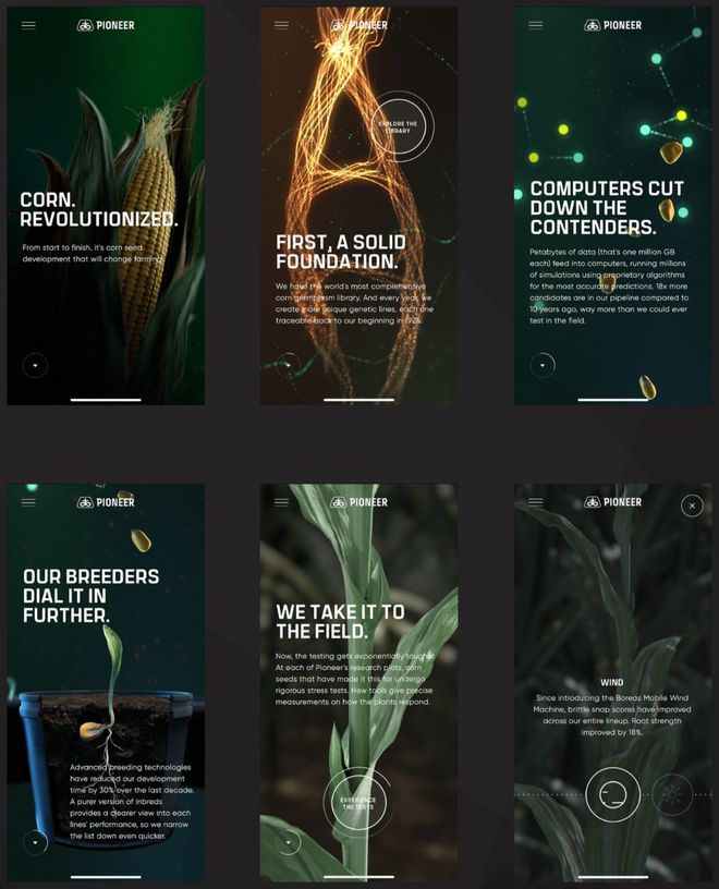 星空体育网站：2024盘点十家网站建设公司一篇教你怎么选！(图4)