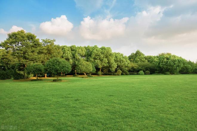 星空体育网站：2024最具影响力最具创新力的十大网站建设公司分享TOP10(图6)