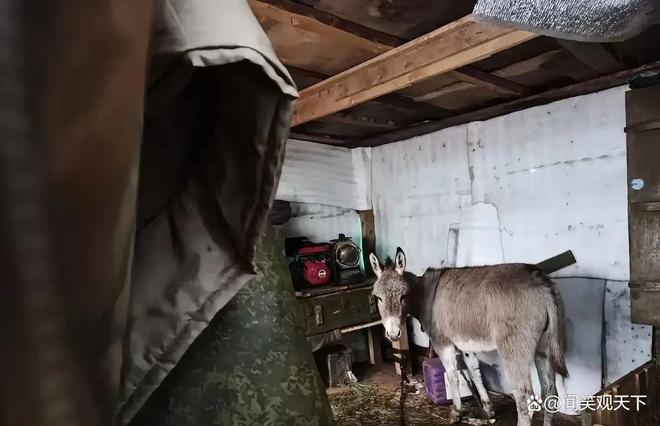 总感觉乌军在保存实力果不其然又在库尔斯克发起反攻了(图5)