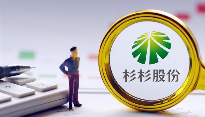 杉杉集团破产事实证明：美女主持人只会排节目对管理无能为力(图18)