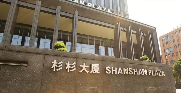 杉杉集团破产事实证明：美女主持人只会排节目对管理无能为力(图20)