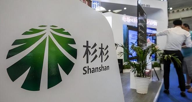 杉杉集团破产事实证明：美女主持人只会排节目对管理无能为力(图26)