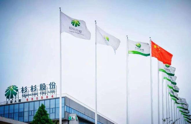 杉杉集团破产事实证明：美女主持人只会排节目对管理无能为力(图27)