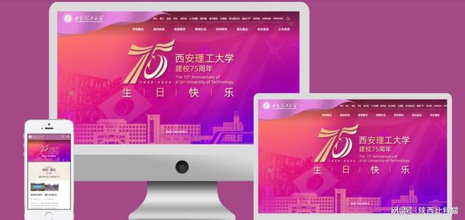 西安网站设计公司：卓越设计与用户体验的完美结合(图4)