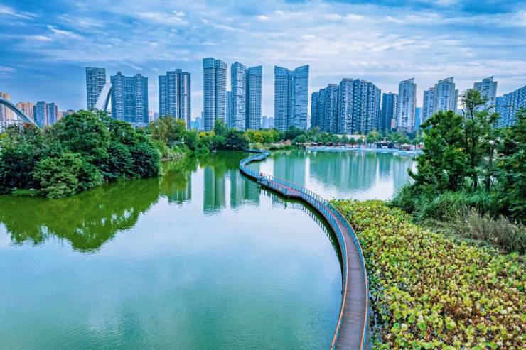 星空体育网站：成都【红树湾三期】首页网站-售楼处中心楼盘详情价格户型(图6)