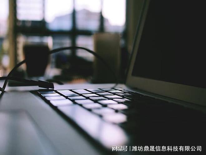潍坊网站建设注意事项包括哪些内容(图1)