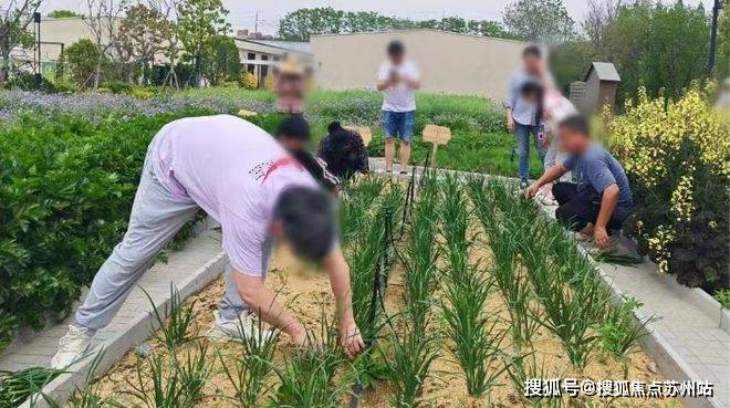 尚湾林语(尚湾林语)-2025年首页网站-最新楼盘详情价格户型(图24)