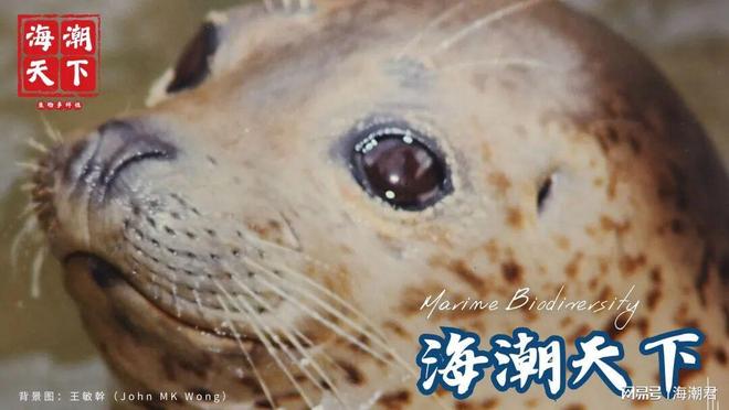 征集迁徙物种公约COP任命理事候选人！侧重野生动植物健康(图2)
