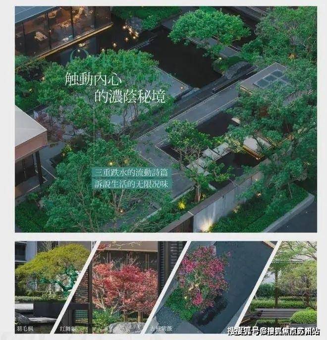 星空体育网站：保利海上瑧悦(海上瑧悦售楼处)首页网站-2025楼盘评测_售楼处电话丨房价丨详情丨地址丨楼盘百科详情(图15)