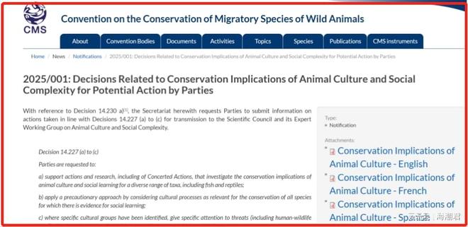动物文化——全球生物多样性保护新概念海潮天下·生态小百科(图3)